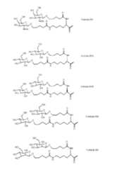 Figure imgf000164_0001