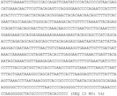 Figure BDA0004078918960000921