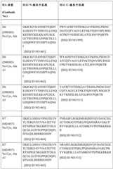 Figure BDA0004089703340001741