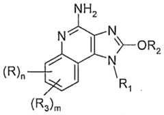 Figure imgf000002_0001