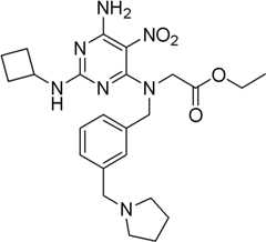 Figure BDA0000075082050001282