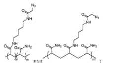 Figure 0007095041000018