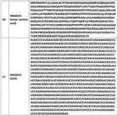 Figure imgf000038_0001