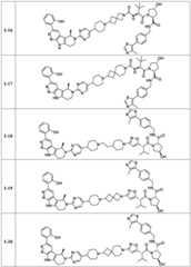 Figure BDA0003783300830002161