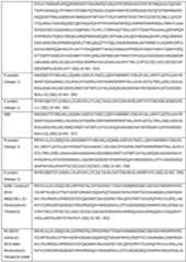 Figure imgf000337_0001