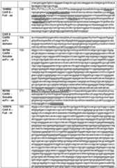 Figure imgf000168_0001