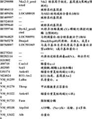 Figure BDA0000057170160000661