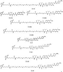 Figure BDA0003376679440000071