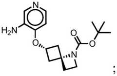 Figure BDA0001412716210003454