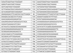 Figure imgf000047_0001