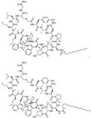 Figure imgf000050_0001