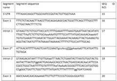 Figure imgf000079_0002