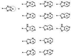 Figure JPOXMLDOC01-appb-C000043