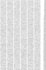 Figure IDA0002536600790000411