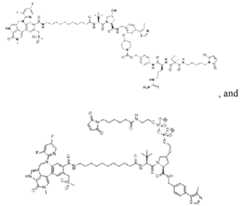 Figure imgf000372_0002