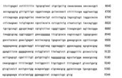 Figure 106137461-A0202-12-0291-145