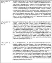 Figure imgf000040_0001