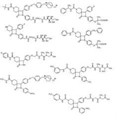 Figure A2007800391940011C1