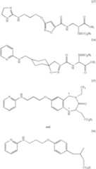 Figure US06833373-20041221-C00028