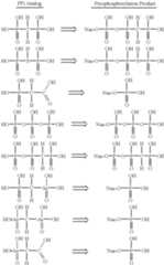 Figure US06391551-20020521-C00002