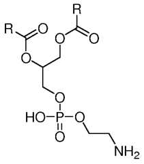 Figure imgf000013_0001