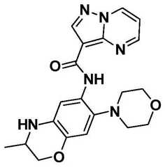 Figure BDA0001702803240002171