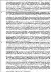 Figure BDA0003549429610000571