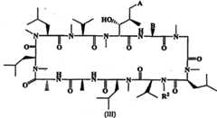 Figure BPA00001287625400251