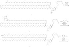 Figure US12097242-20240924-C00022