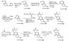 Figure BDA0003122494520000981