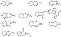 Figure FDA0003202626560000041