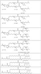 Figure imgf000113_0001