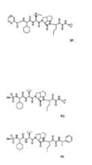 Figure G2009101493490D01461