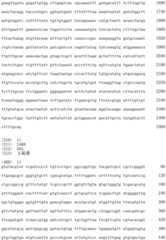 Figure IDA0002728416920000141