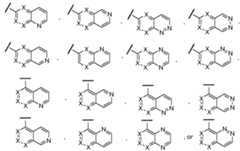 Figure imgf000021_0002