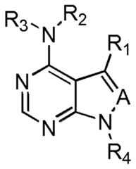 Figure imgf000013_0001
