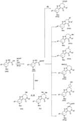 Figure BDA0001979965430000941