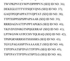 Figure imgf000038_0001