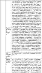 Figure BDA0004033970230006801