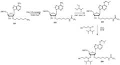 Figure imgf000197_0001