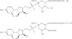 Figure US07405198-20080729-C00024