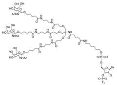 Figure 2023012548000404