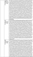 Figure BDA0004033970230005251