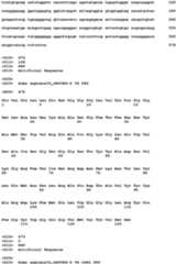 Figure imgb0168