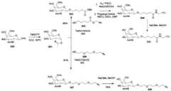 Figure imgf000125_0001