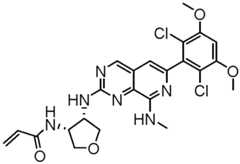 Figure GPA0000263212130002032