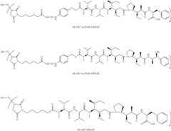 Figure US11633500-20230425-C00004