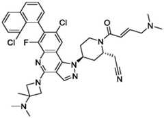 Figure BDA0003993773060003081