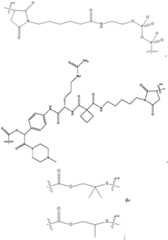 Figure BDA0004113777320000971