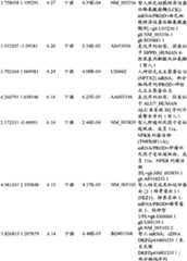 Figure BPA00001280678300941